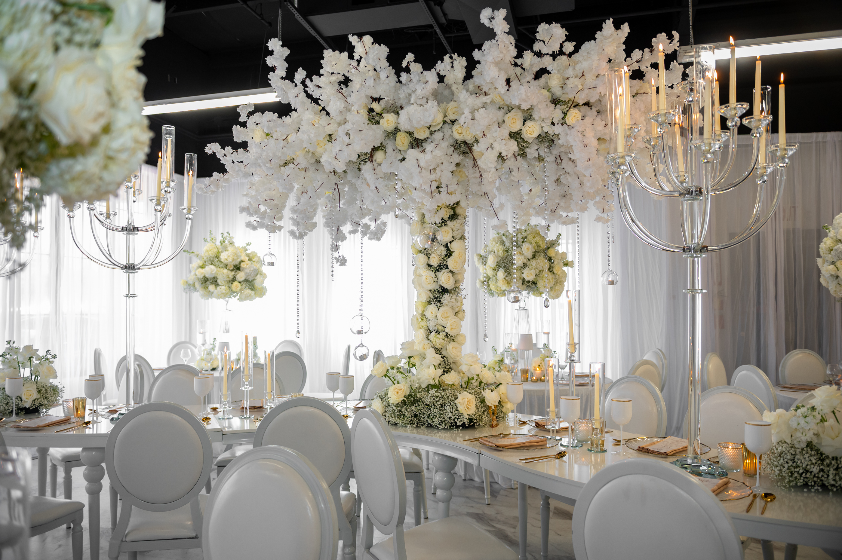 The Lenaé Experience portfolio — 11