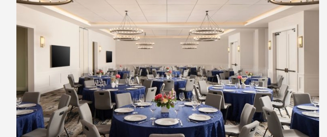 YSE, YourSpecialEvent portfolio — 4