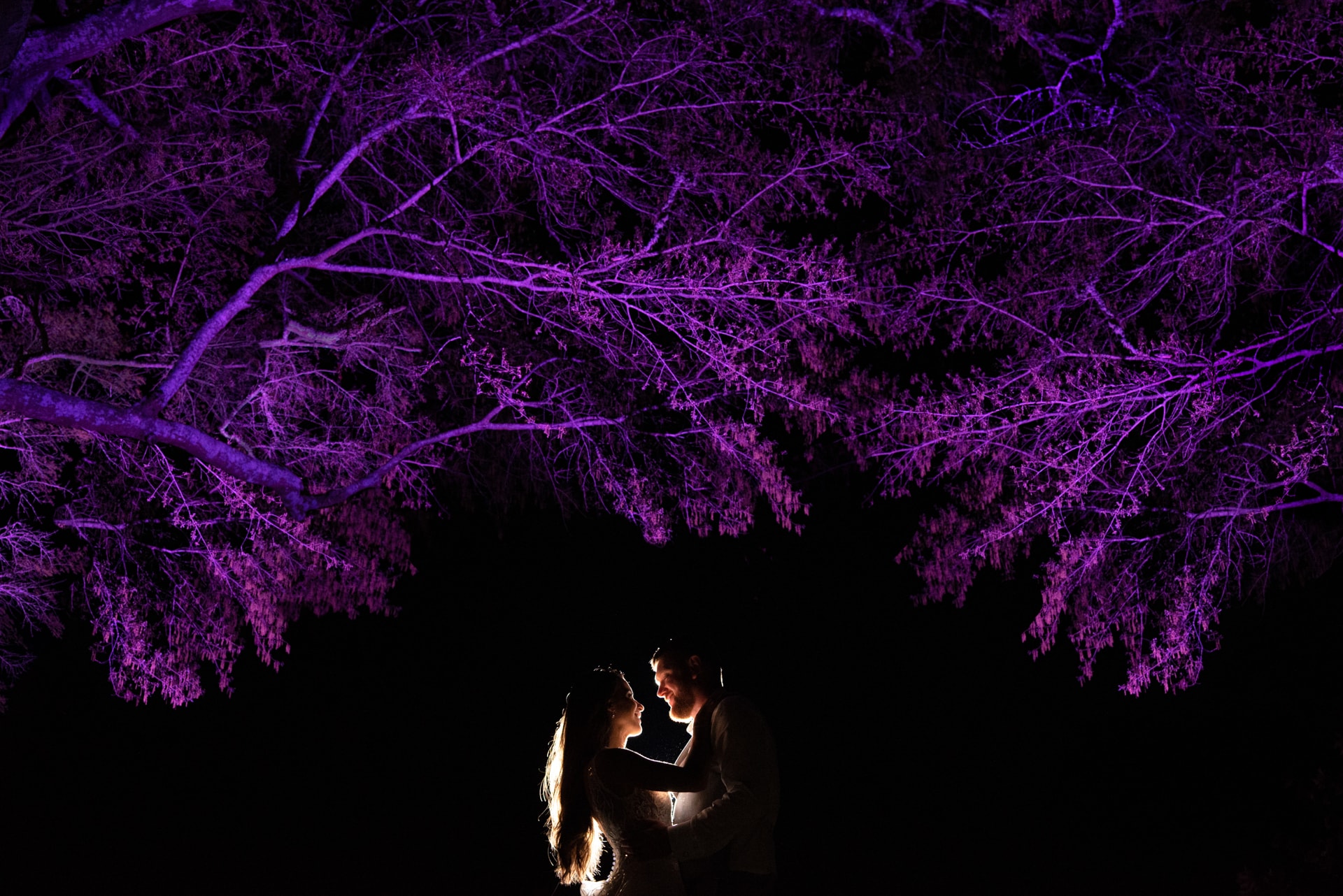 A bride and groom embrace beneath tree branches illuminated with purple lighting against a dark night sky. Double N Media — Atlanta, Southeast.